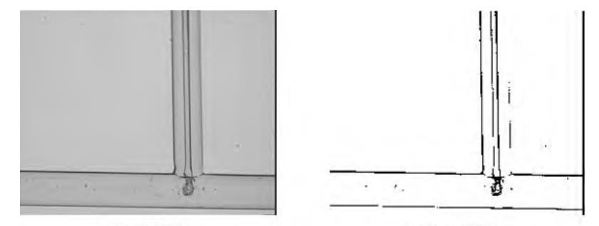 1663897010527870.jpg 微信图片_20220923093619.jpg