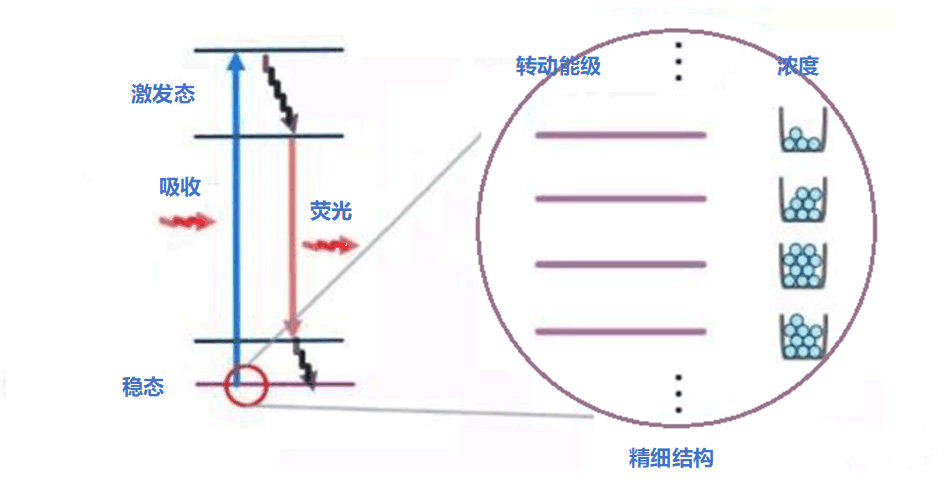 1740211226119090.png 155666.png