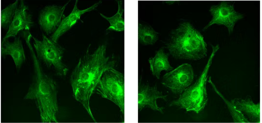 1743665993783749.png QQ20250403-153907.png