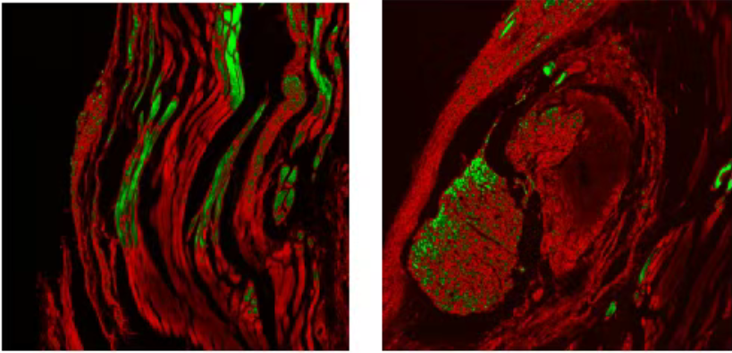 1743666824350560.png QQ20250403-153935.png