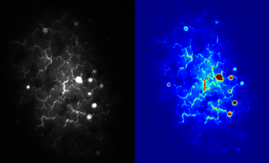 1748946995605886.png 444444.png