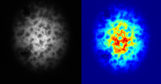 1748947007575947.png 55555.png