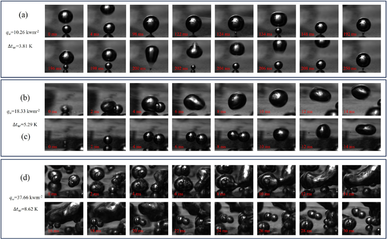 1756089676348990.png 3.png