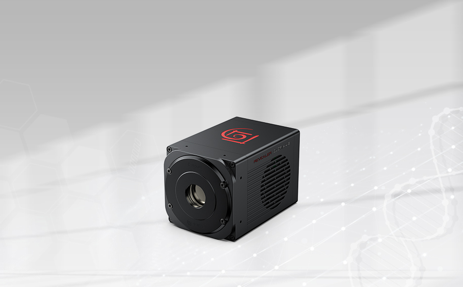 1756695423907091.png 2.png