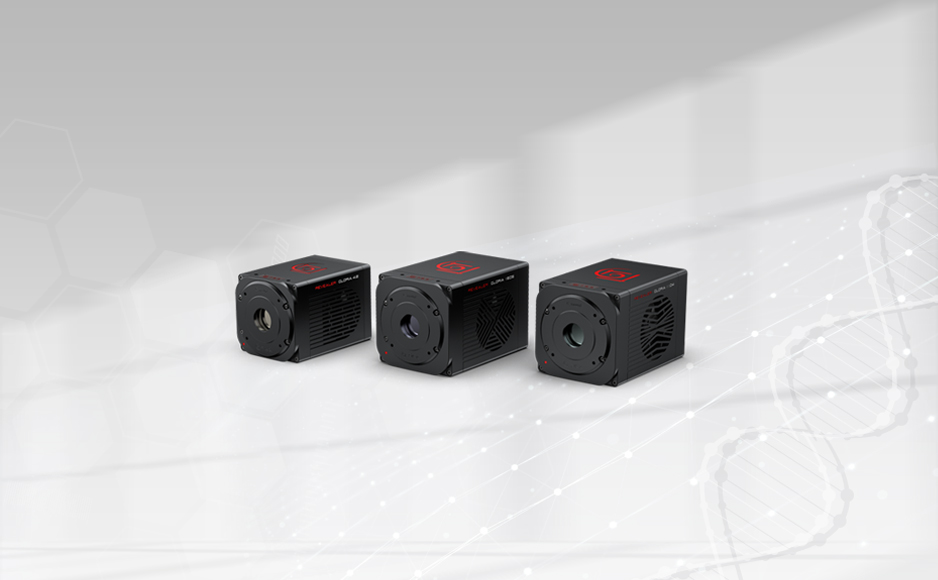 1757409260634063.jpg 微信图片_20250908170018.jpg